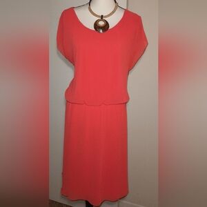 Tacera Chiffon 👗 (2X)